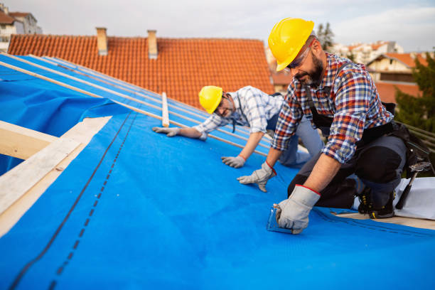 Best Roof Gutter Cleaning  in Bret Harte, CA